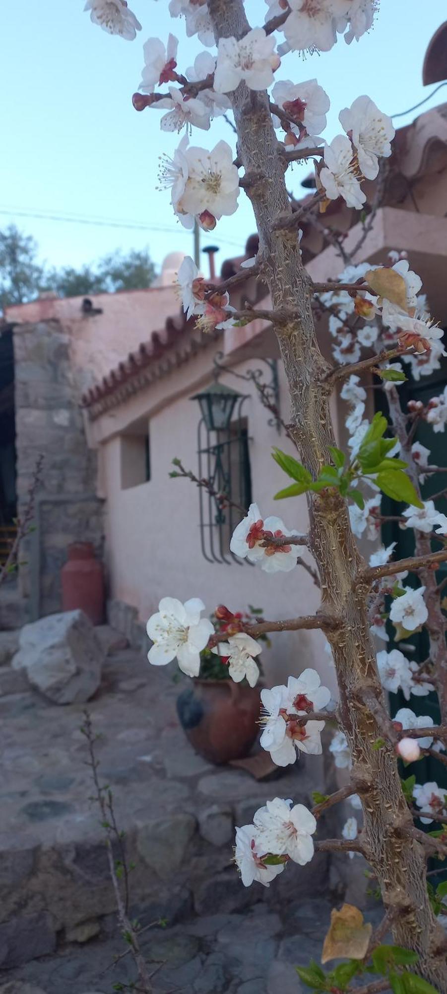 Lodge Arcabuceros Tilcara