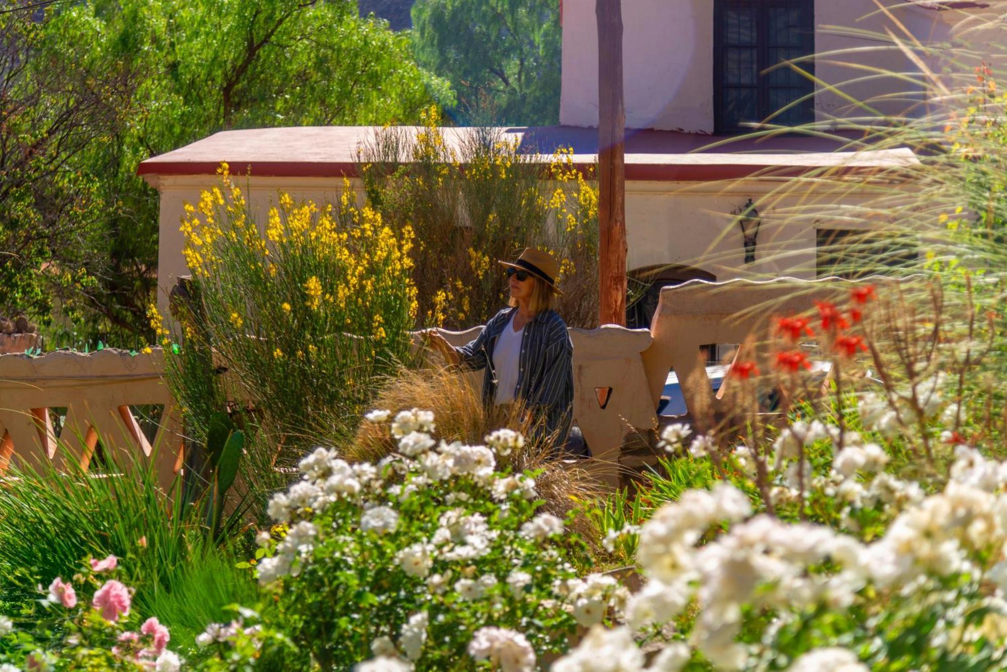 Arcabuceros Lodge
